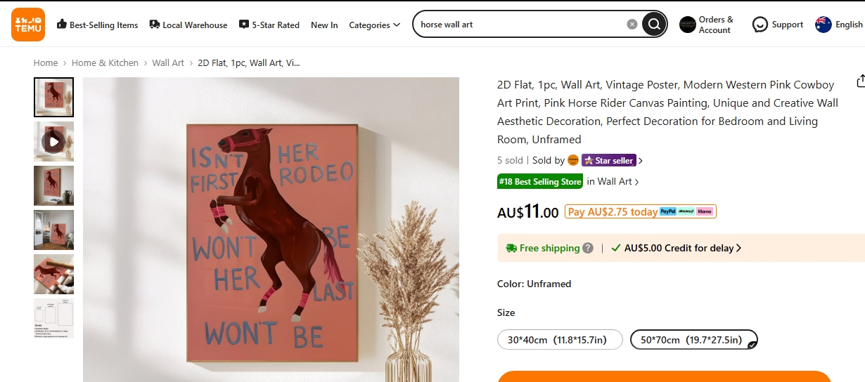 Lottie Rae horse rodeo painting sold on Temu by a top 18 best selling store for AU$11